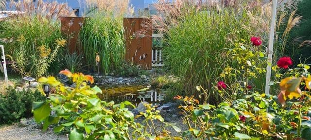 Garten mit Teich, hohen Ziergräsern und Rosen